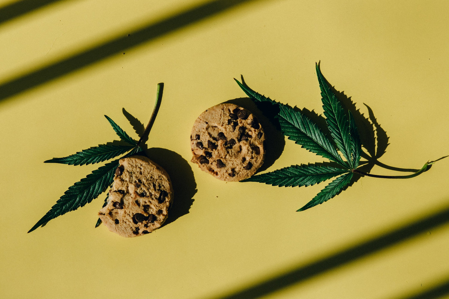 Weed, Cookies